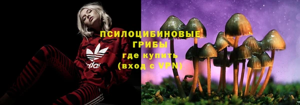 apvp Заволжск